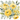 yellow floral png file