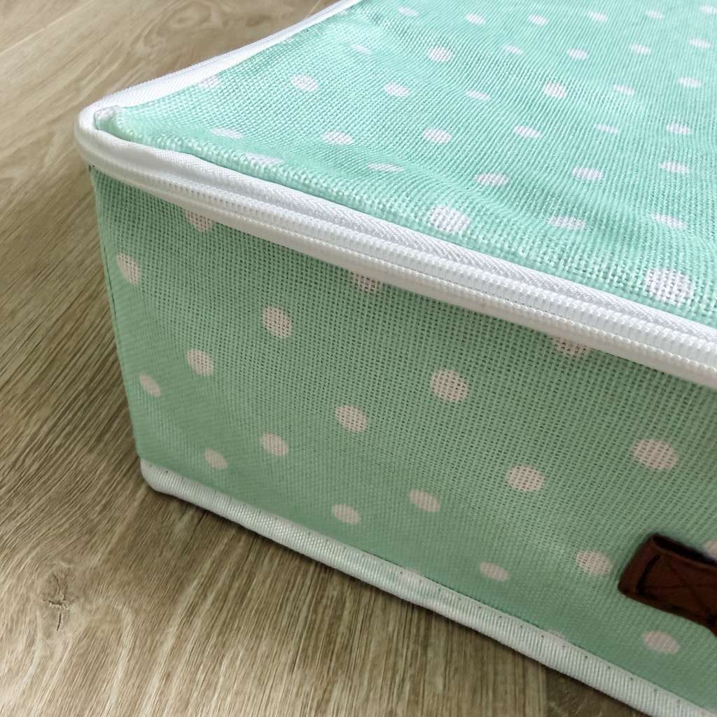 Aqua Storage Case by Wilshire Collections