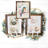 Birds and butterflies printable
