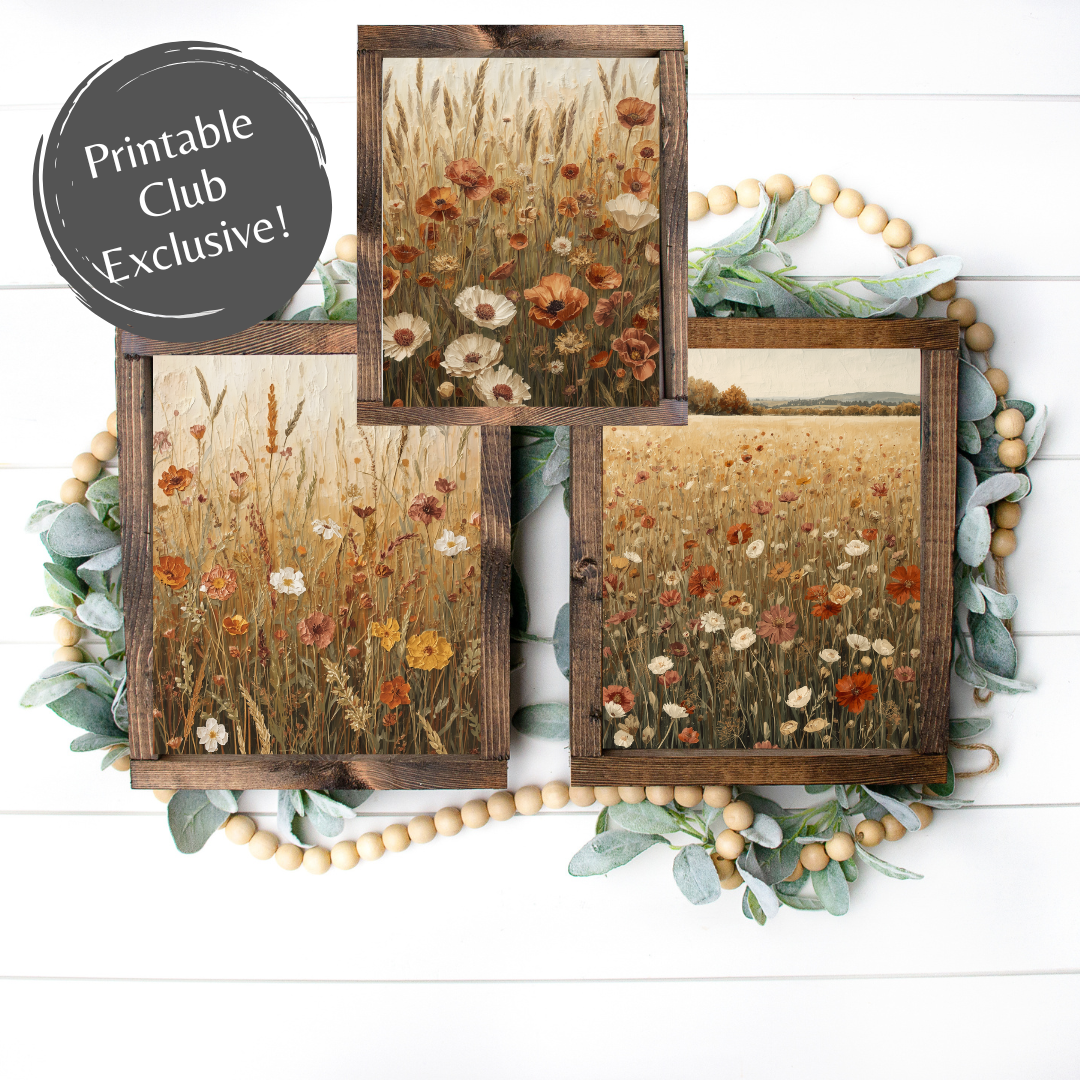 Fall Wildflower Meadow