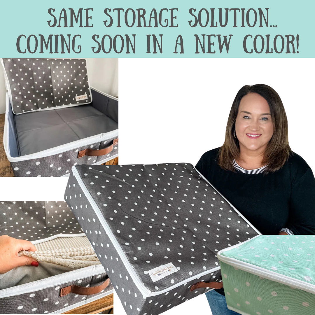 Aqua Storage Case by Wilshire Collections