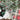 (PRE-ORDER) Christmas Decor Box